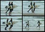 (09) presurf montage.jpg    (1000x720)    316 KB                              click to see enlarged picture